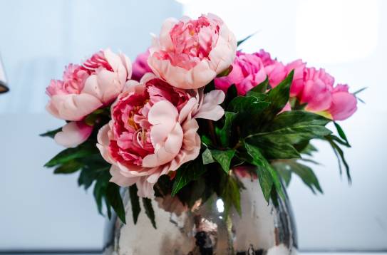 Silberne Vase mit einem üppigen Strauß aus rosafarbenen Pfingstrosen auf einer Fensterbank.